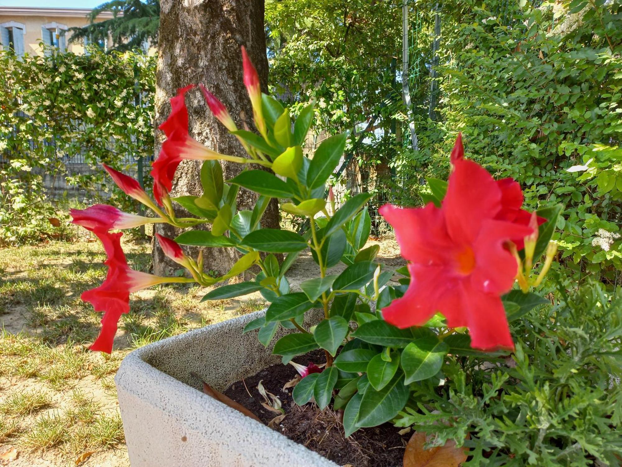 Appartamento Le Magnolie 2 เมสเตร ภายนอก รูปภาพ