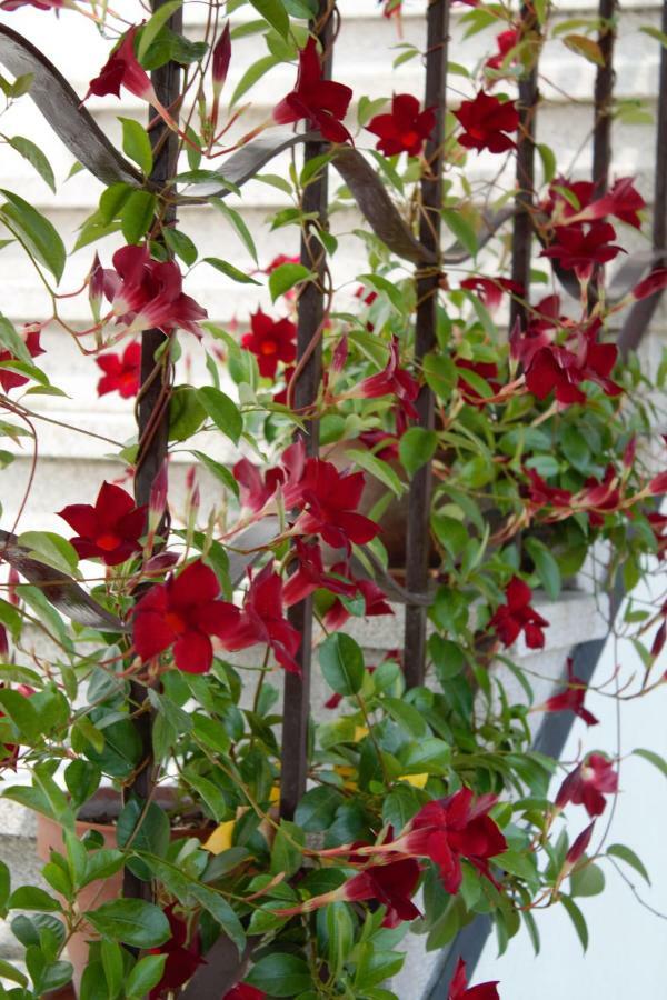 Appartamento Le Magnolie 2 เมสเตร ภายนอก รูปภาพ